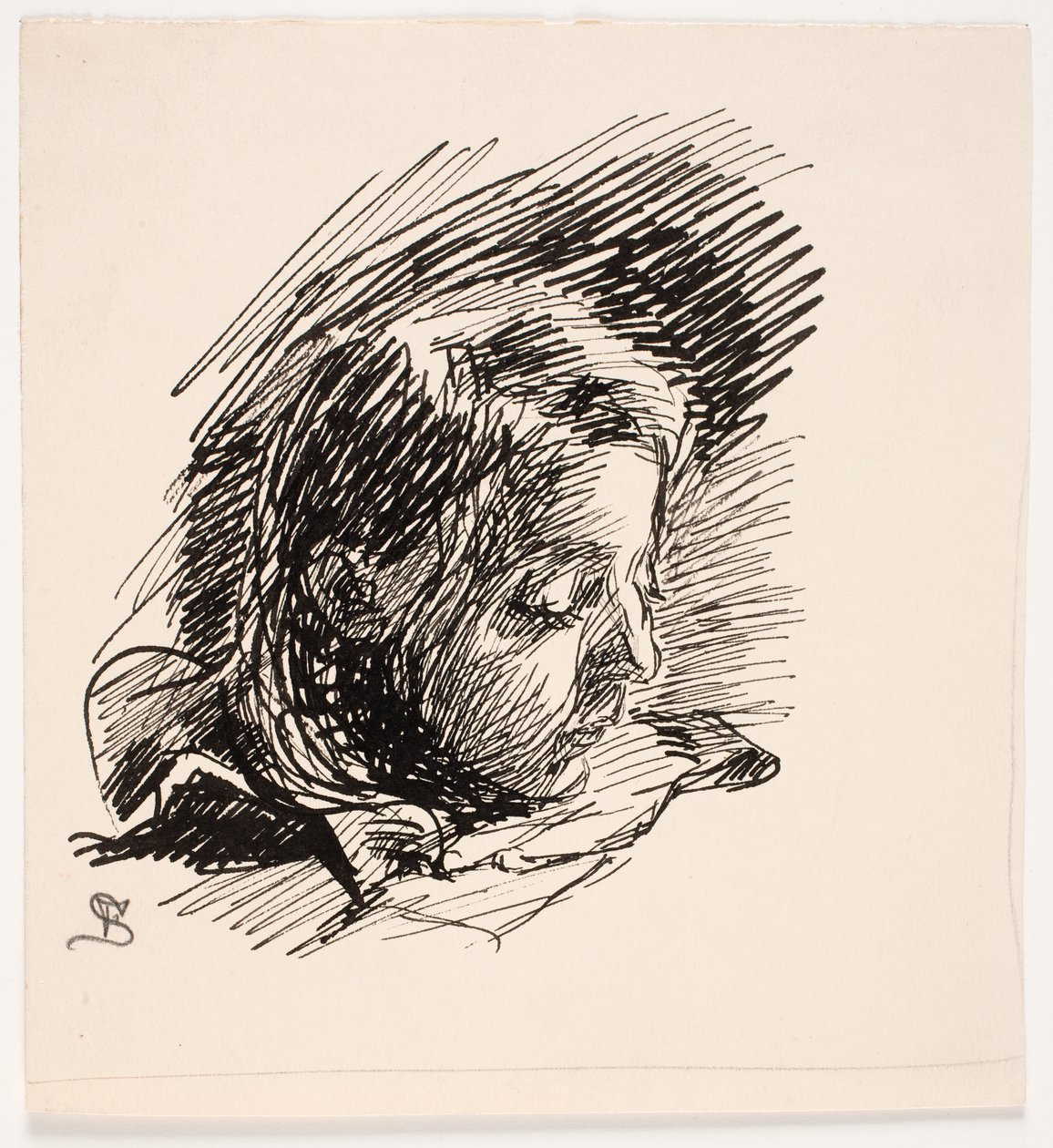 Tête de la fille de l