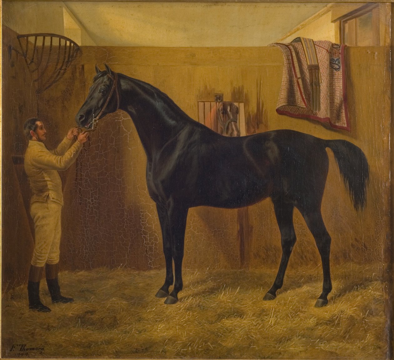 Comète noire - Fritz Thomsen
