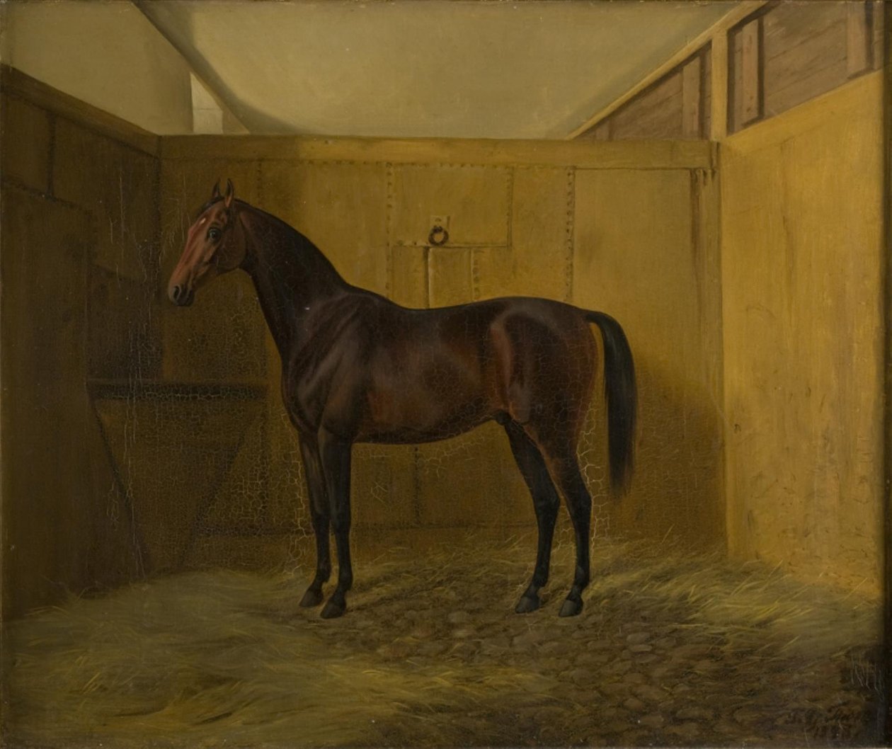 Bruno - Fritz Thomsen