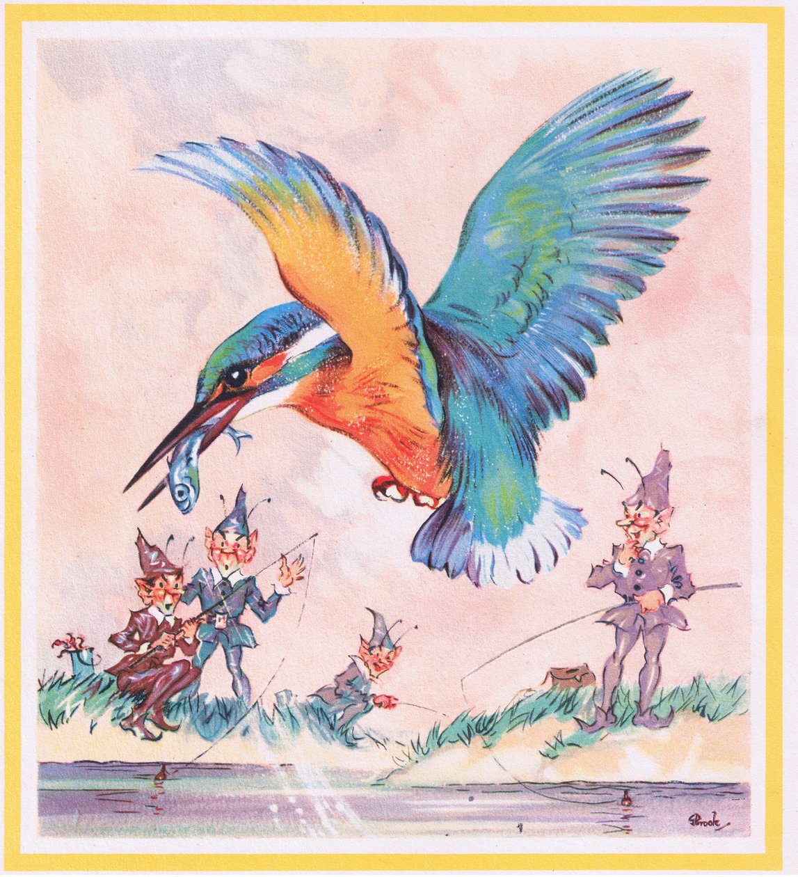 Martin-pêcheur - G. Brooks