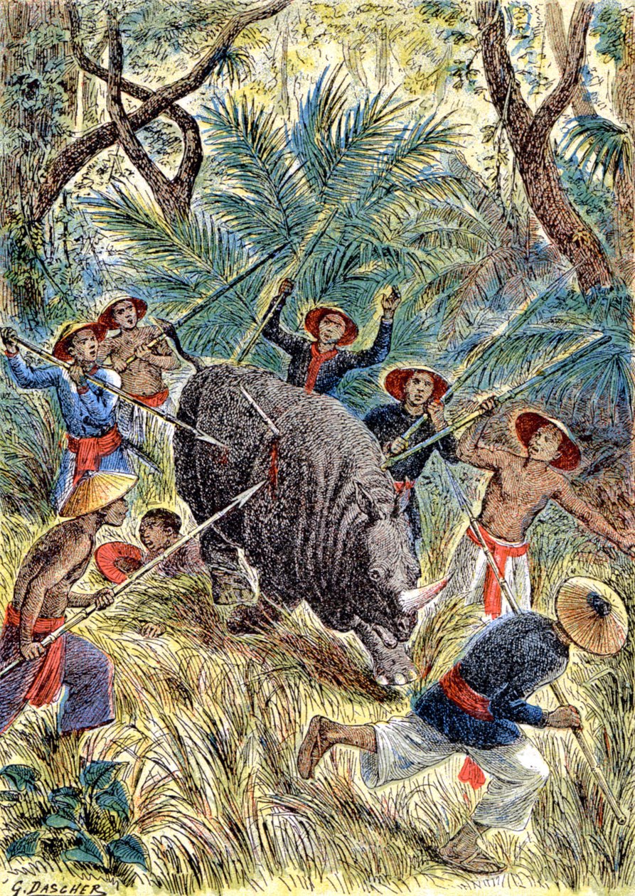 Chasse au rhinocéros, Indochine française (illustration) - G. Dascher