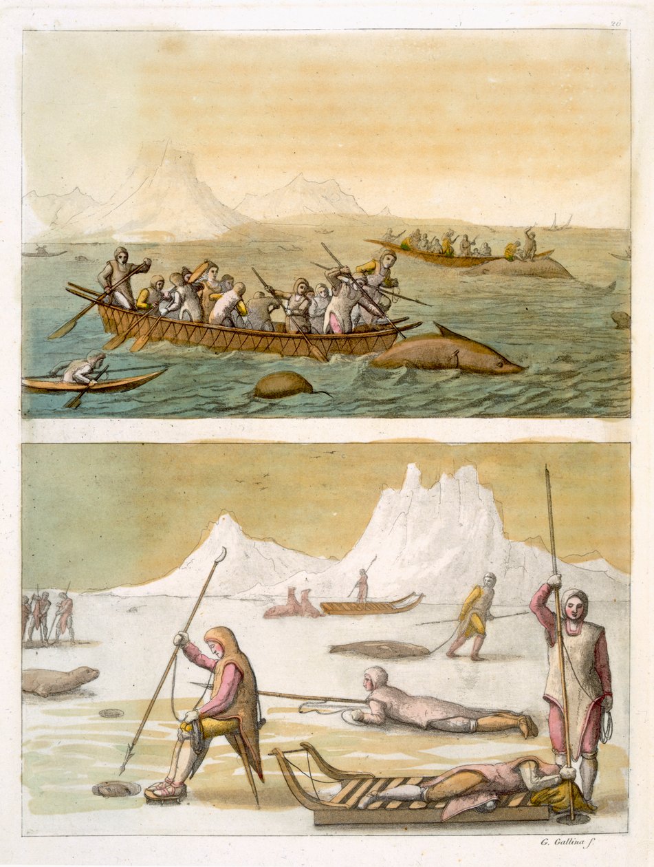 Groenland : Pêche à la baleine et chasse au phoque, de 