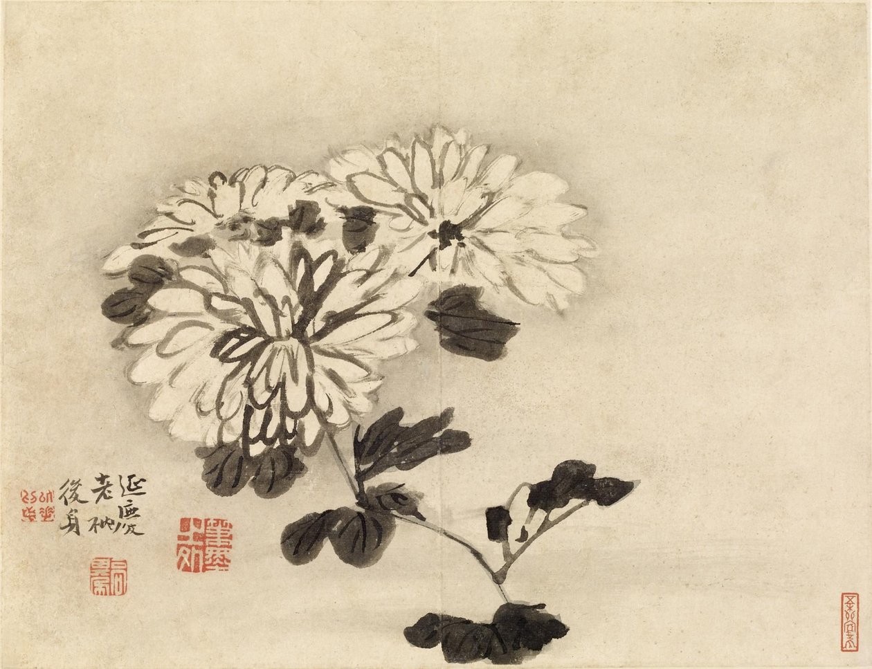 Chrysanthèmes - Gao Qipei