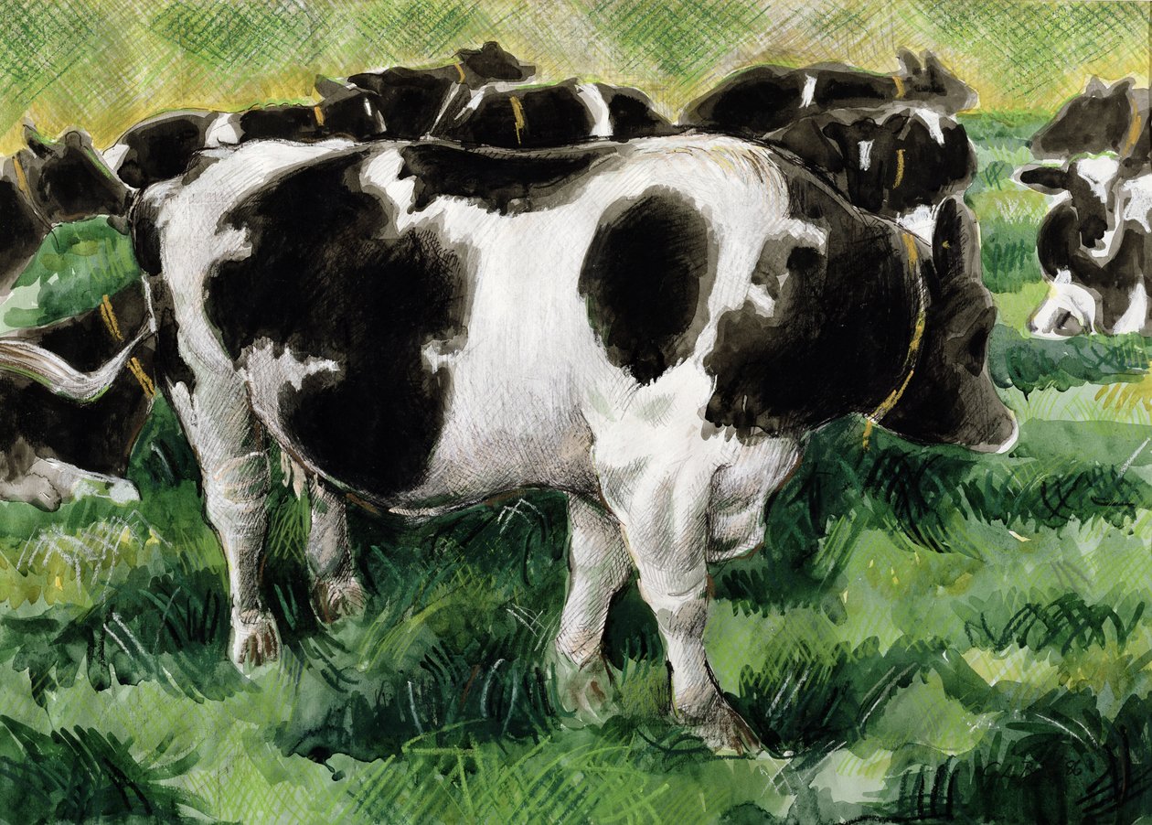 Vaches Frisonnes - Gareth Lloyd Ball