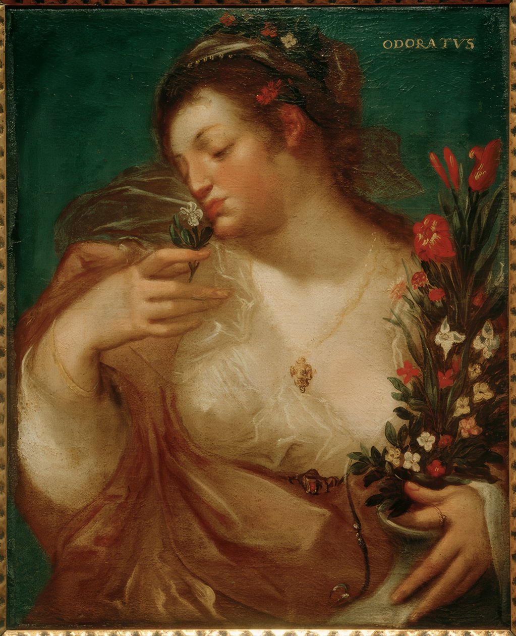 Odoratus - Geldorp Gortzius