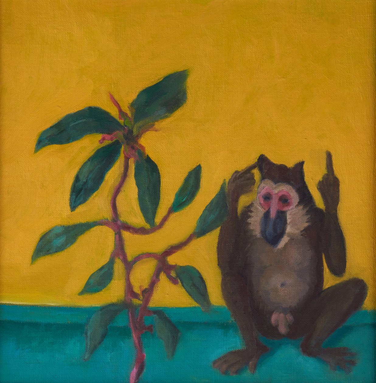 Le singe dit non, 2024 (huile sur carton) - Genevieve French