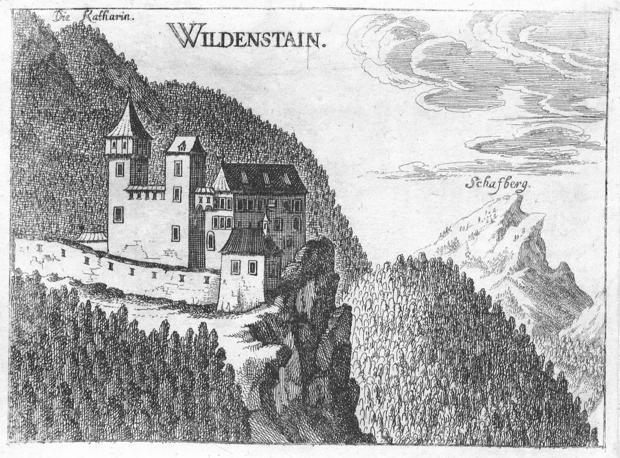 Gravure, vue du château de Wildenstein, Haute-Autriche - Georg Matthaus Vischer