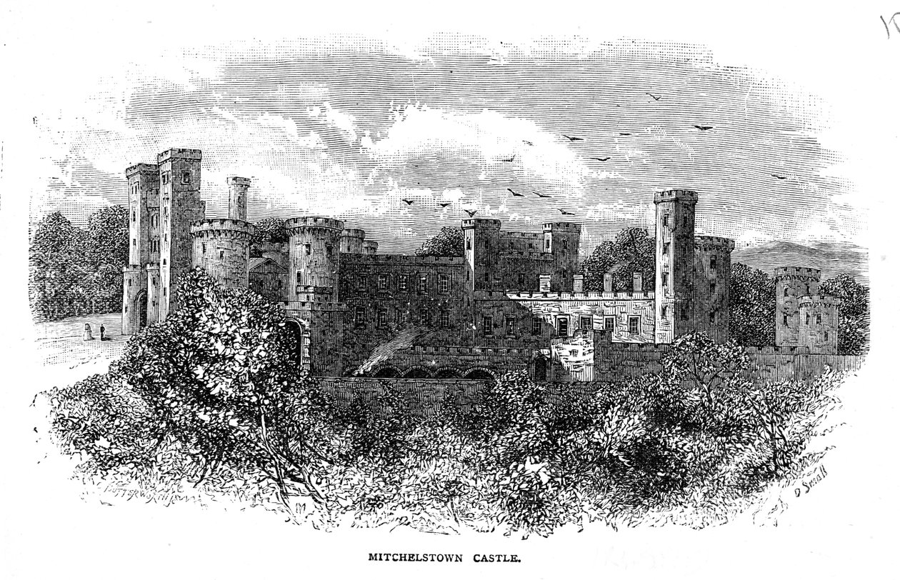 Château de Mitchelstown, gravé par D. Small - George Butterworth