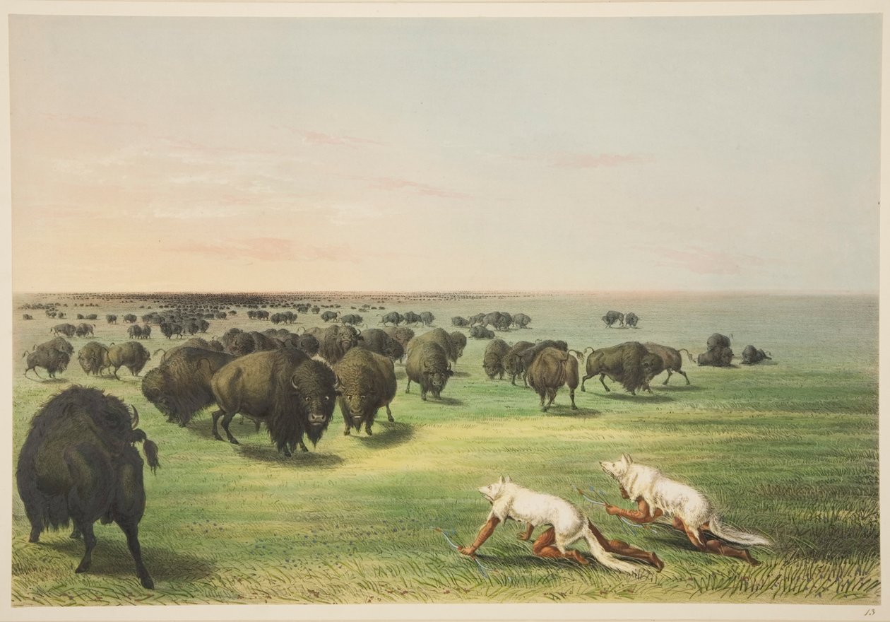 Indiens chassant le bison sous un masque de peau de loup, tirée de Illustrations des mœurs, coutumes et conditions des Indiens d