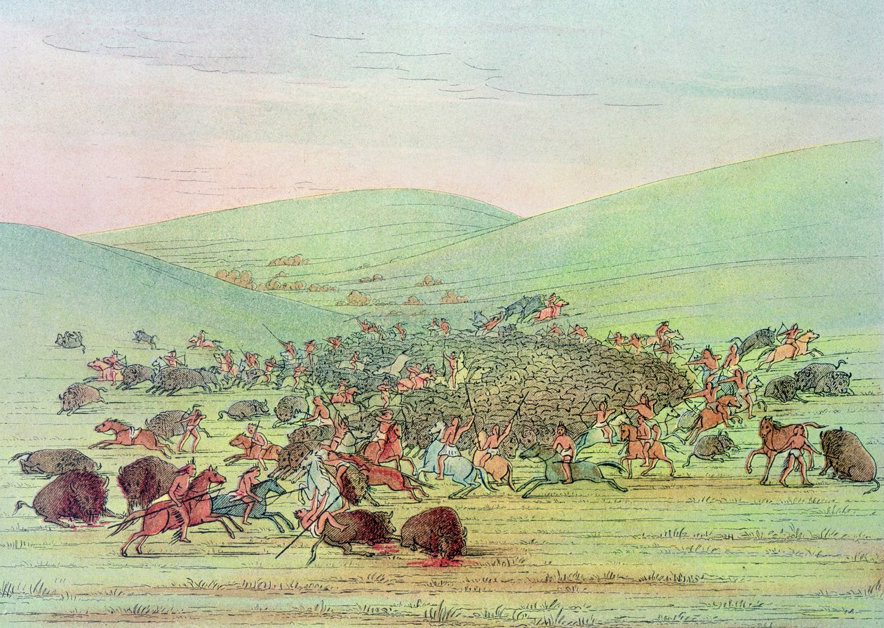 Minatarees attaquant des buffles à cheval - George Catlin