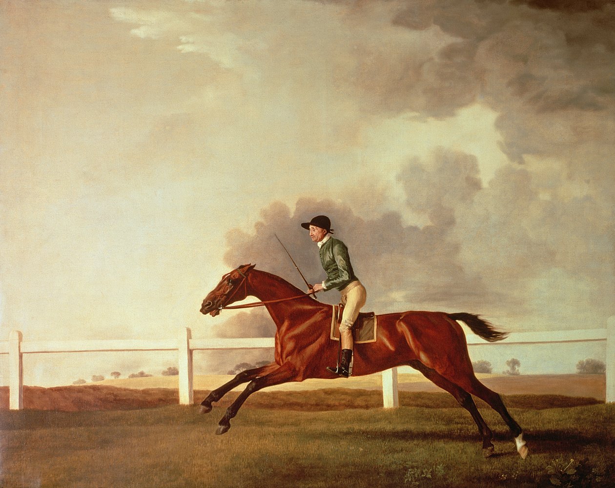 Bay Malton avec John Singleton Up, vers 1767 - George Stubbs