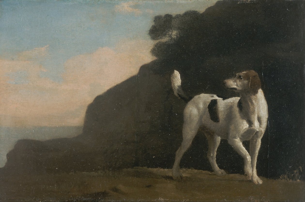 Foxhound - George Stubbs