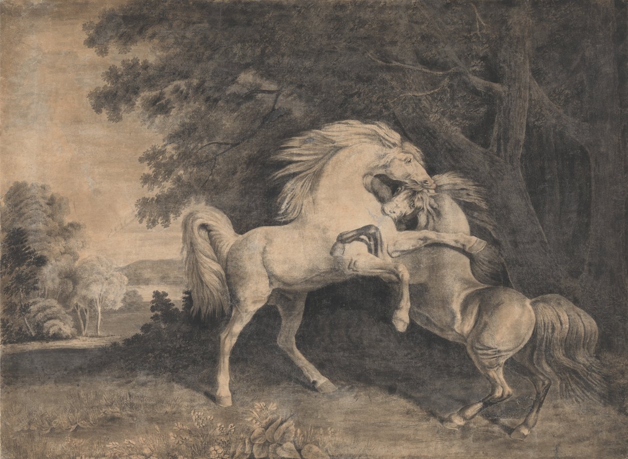 Chevaux se battant - George Stubbs