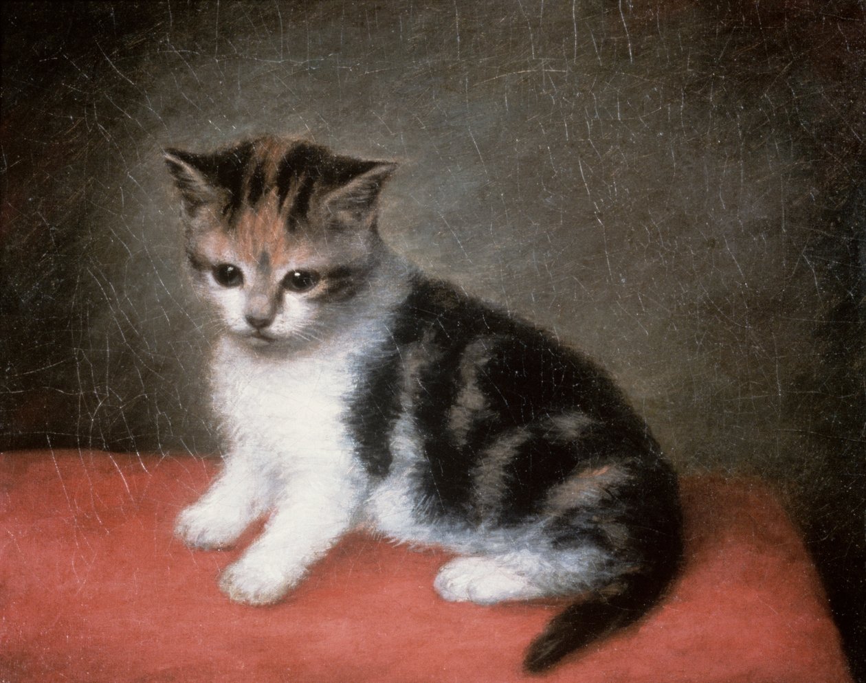 Le Chaton de Miss Ann White, 1790 - George Stubbs