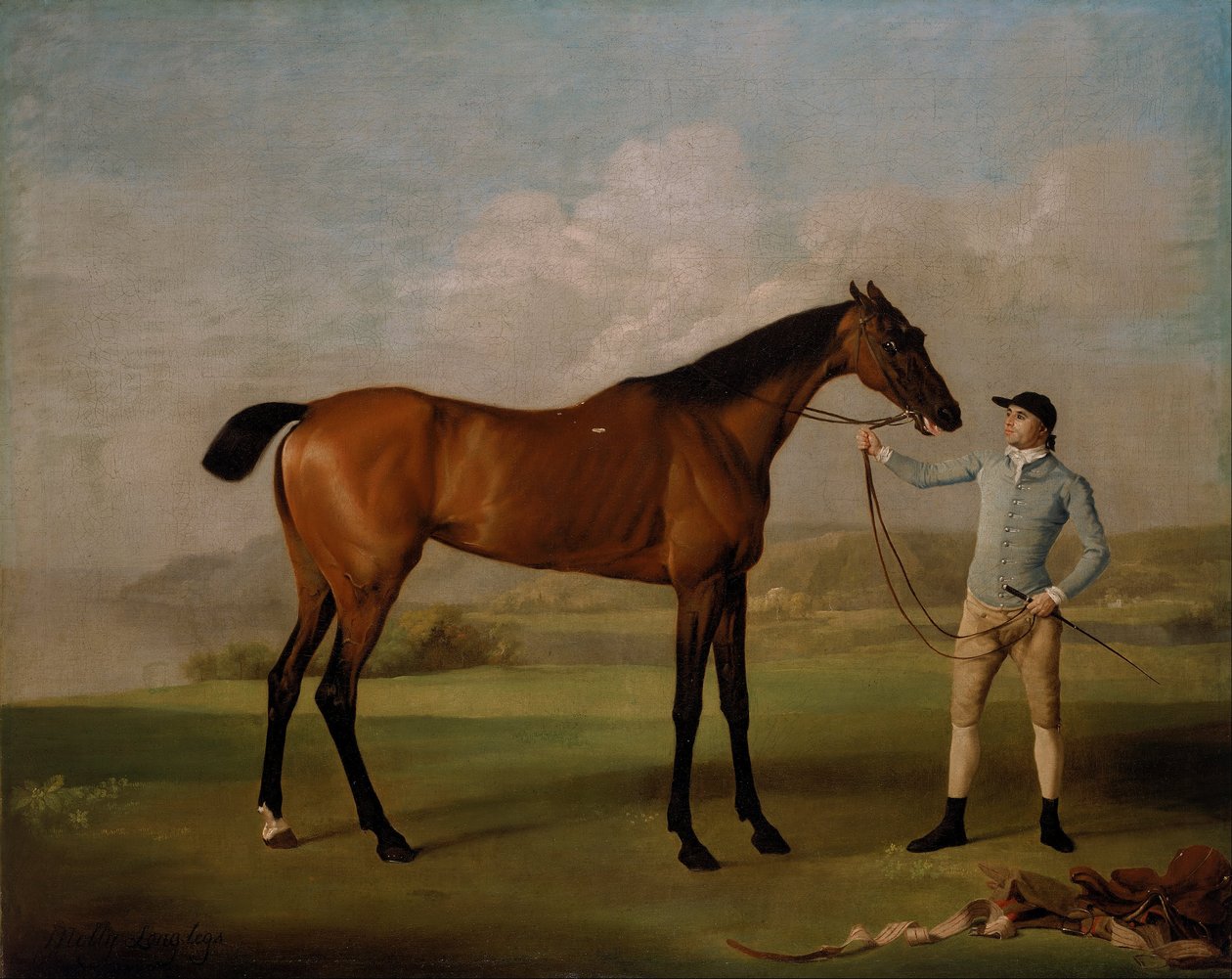 Molly Long-legs avec son jockey - George Stubbs