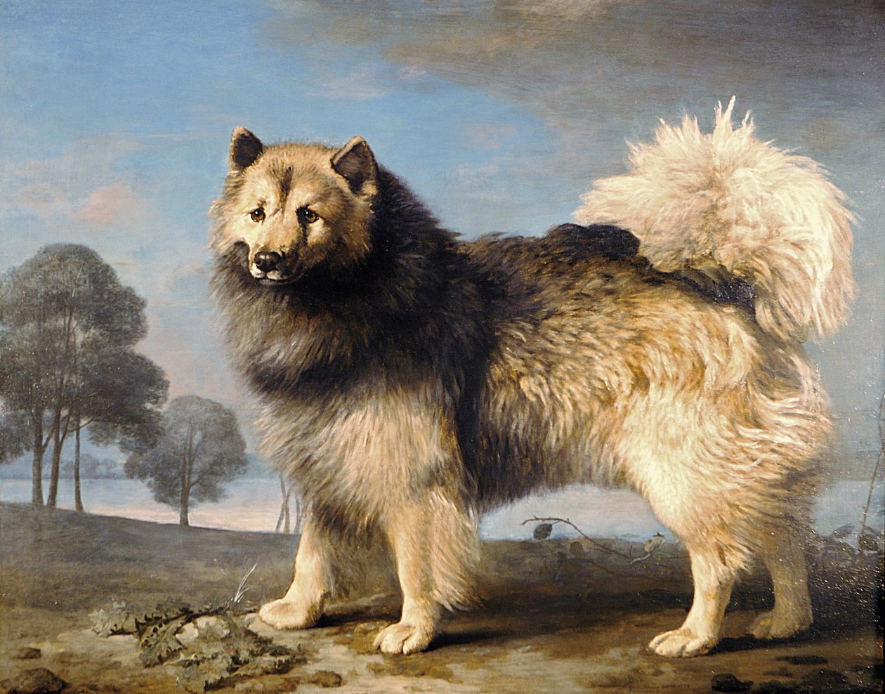 Turc, 1778 - George Stubbs