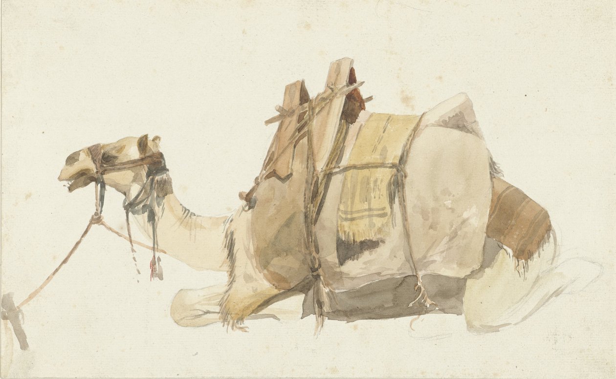 Chameau chargé assis - George Antoine Prosper Marilhat