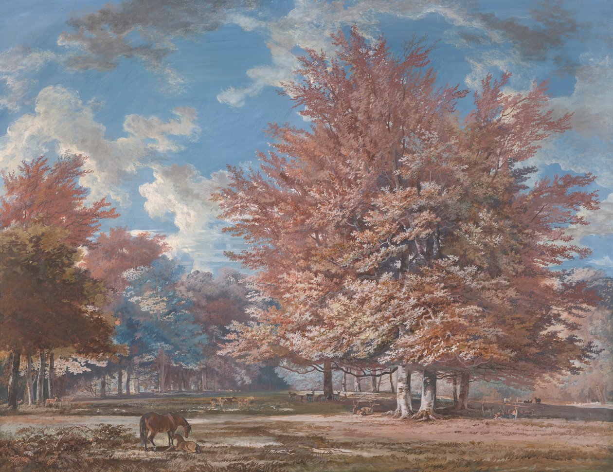 Vue dans un parc - George Barret