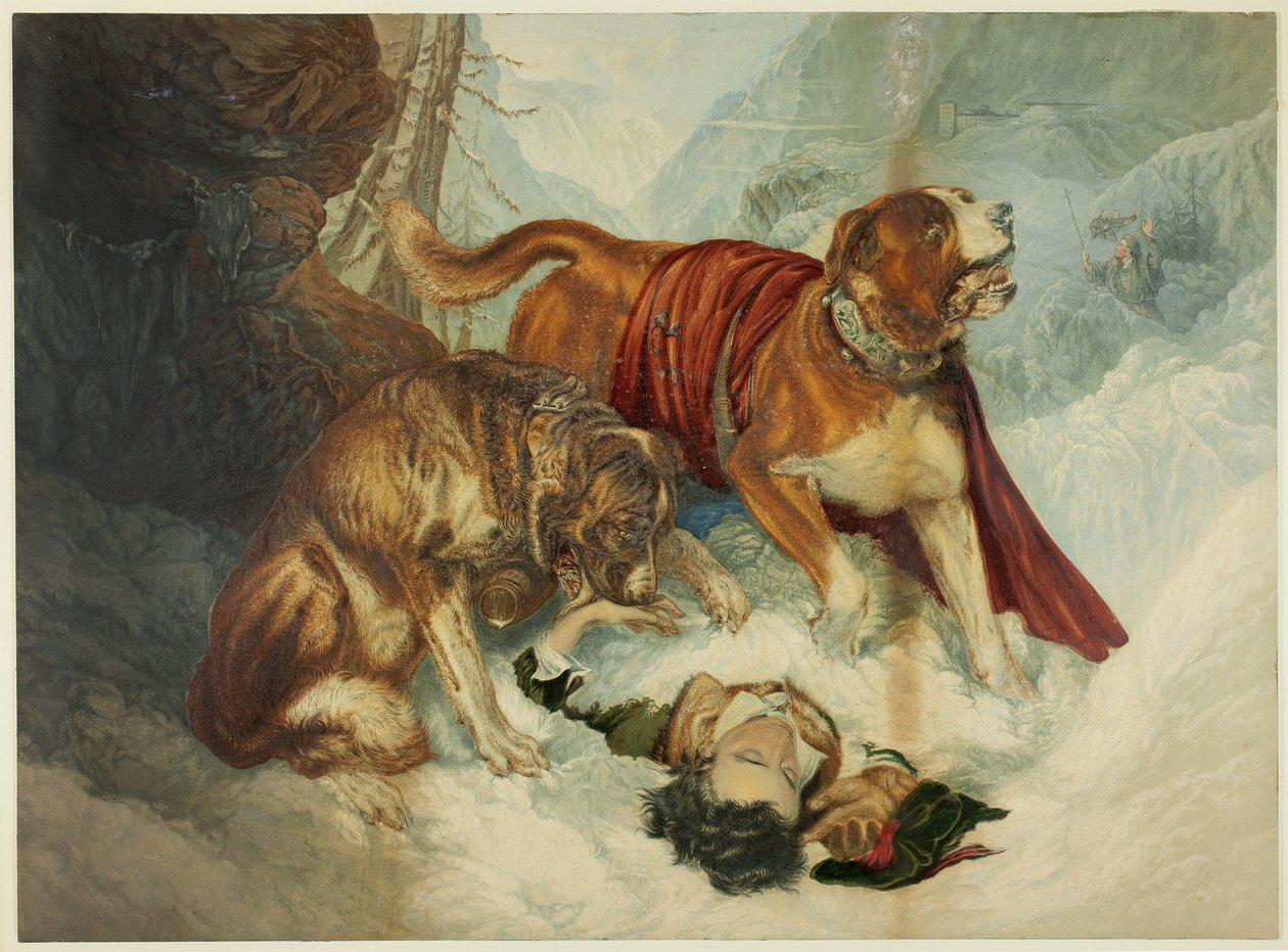 Les chiens du Saint-Bernard - George Baxter