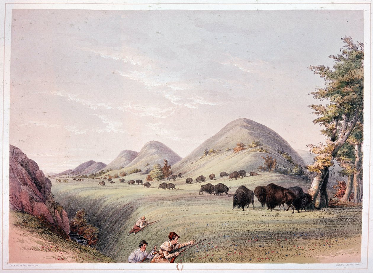 Chasse au bison - George Catlin
