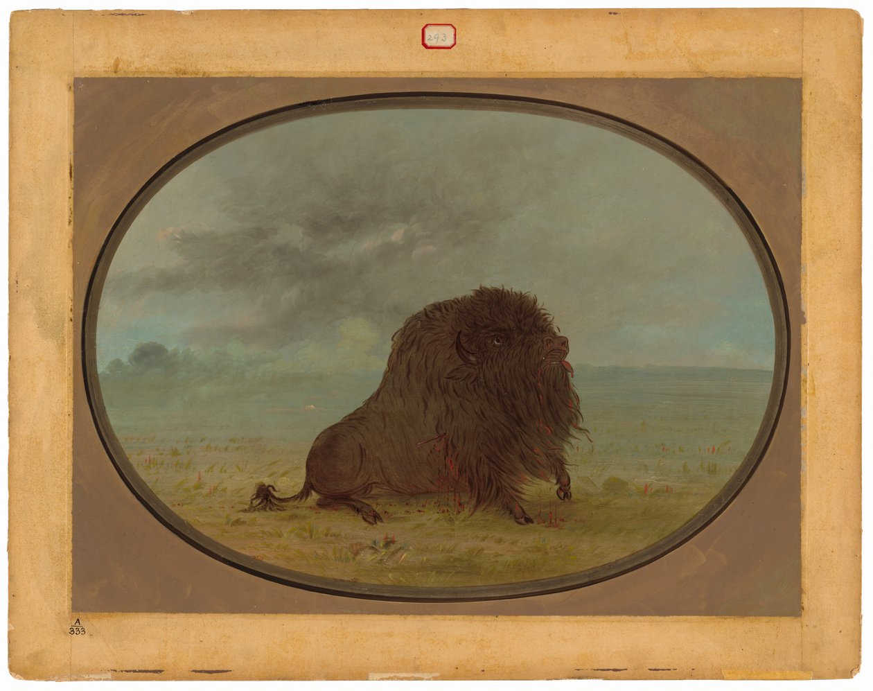 Buffle mourant - George Catlin