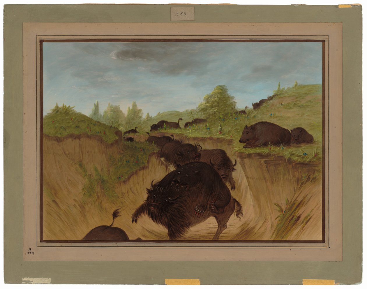Ours grizzlis attaquant des buffles - George Catlin