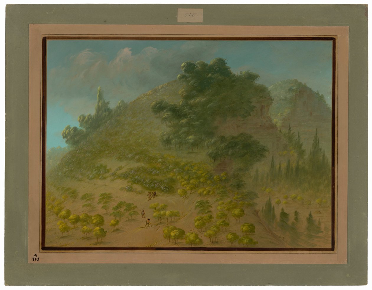 Montagne de rhododendrons - George Catlin