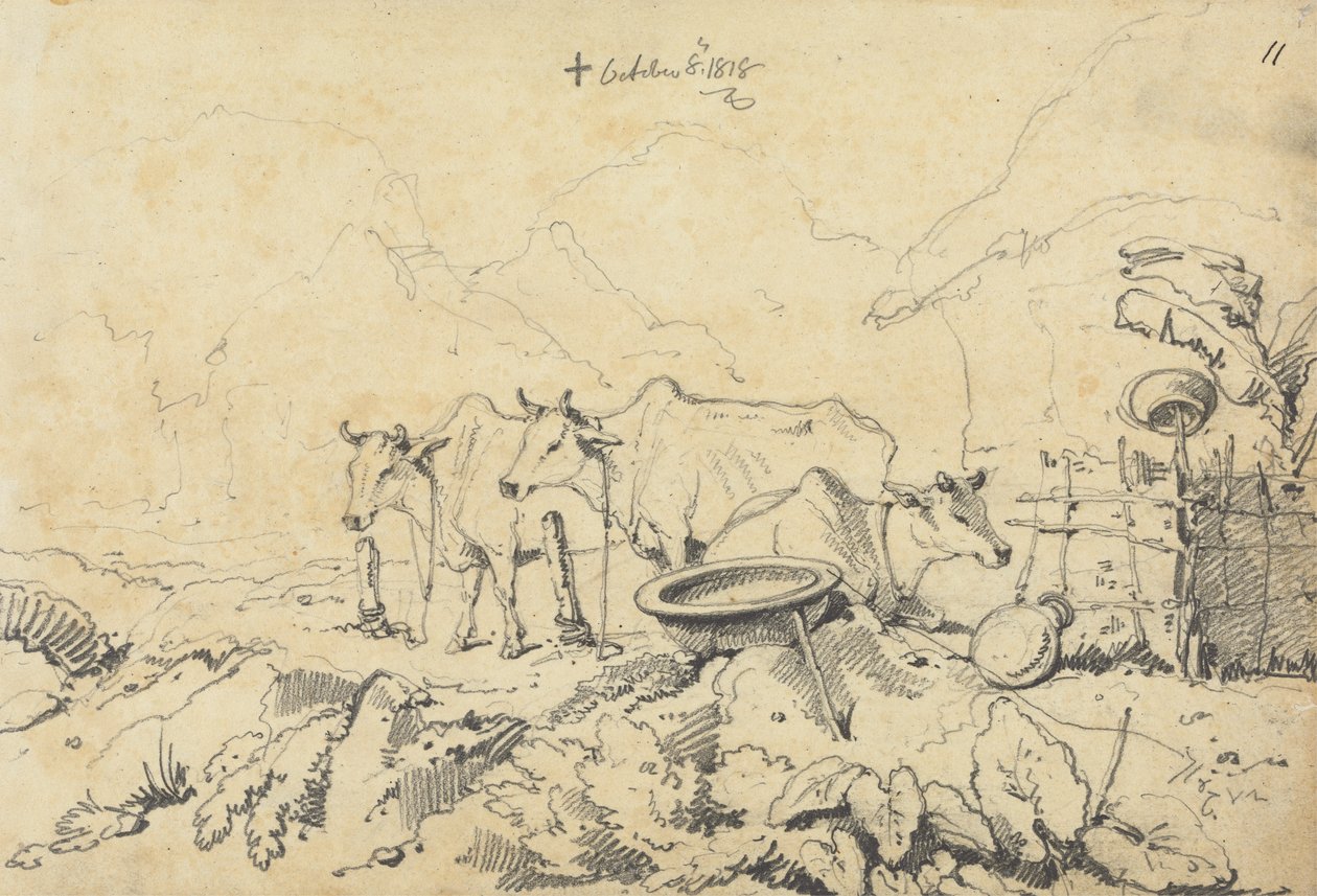 Trois vaches attachées - George Chinnery