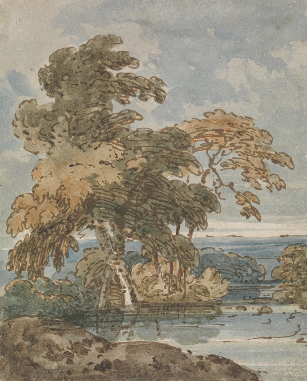 Arbres près d