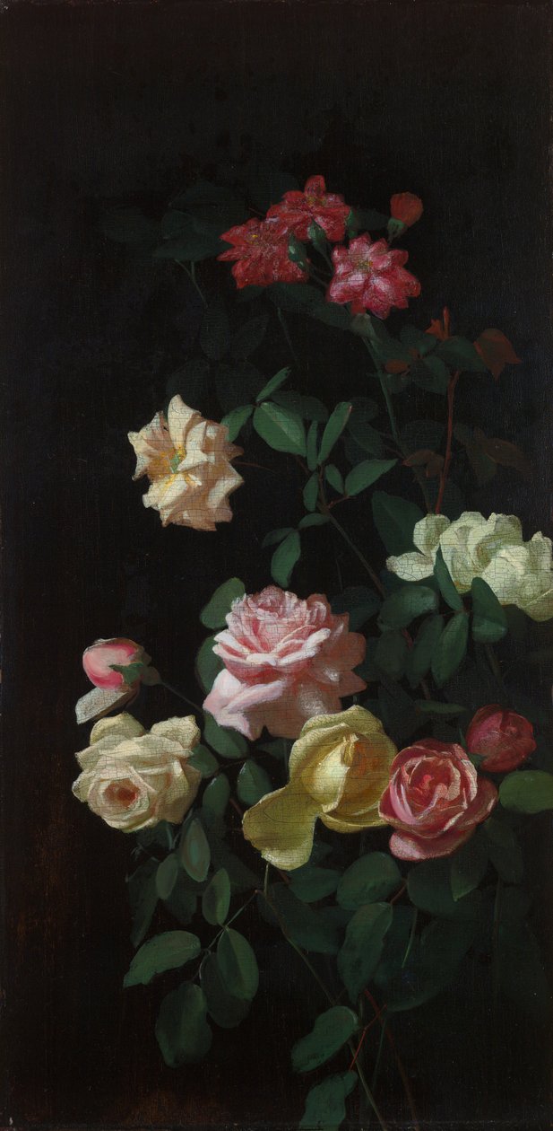 Roses - George Cochran Lambdin