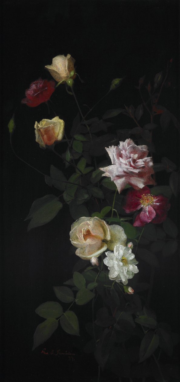 Nature morte - George Cochran Lambdin