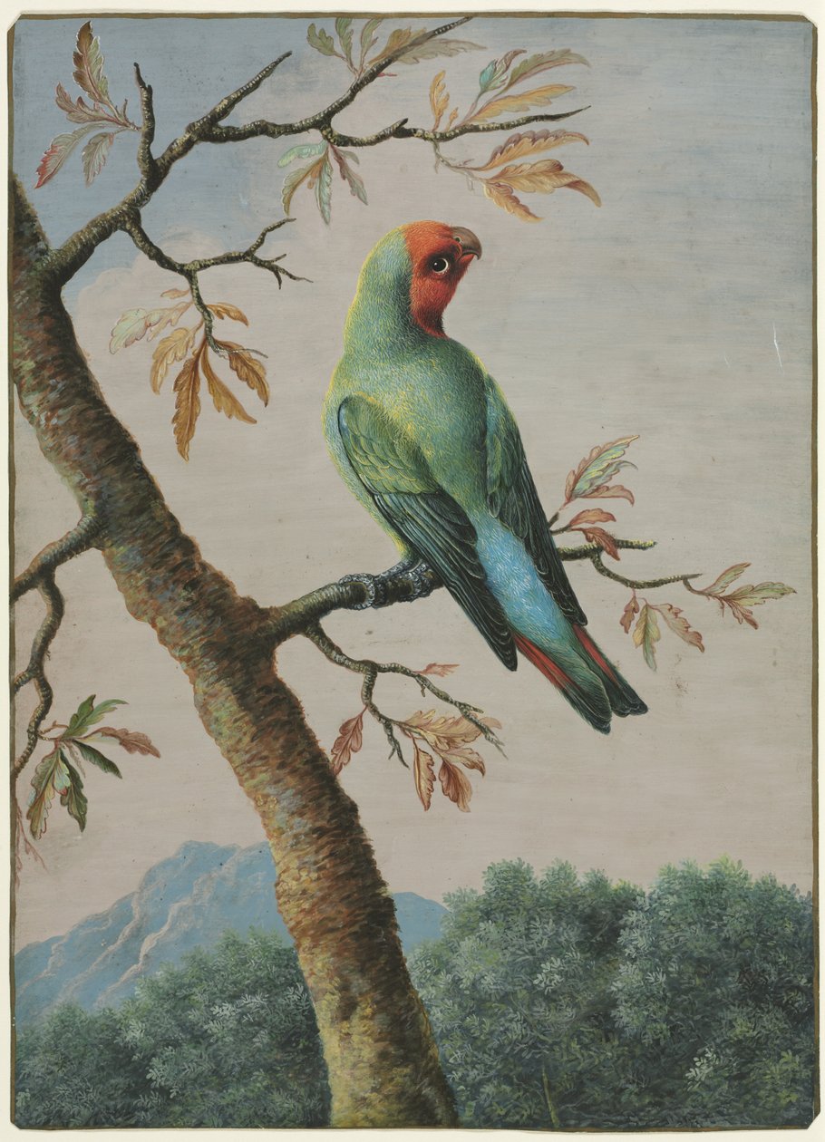 Étude d