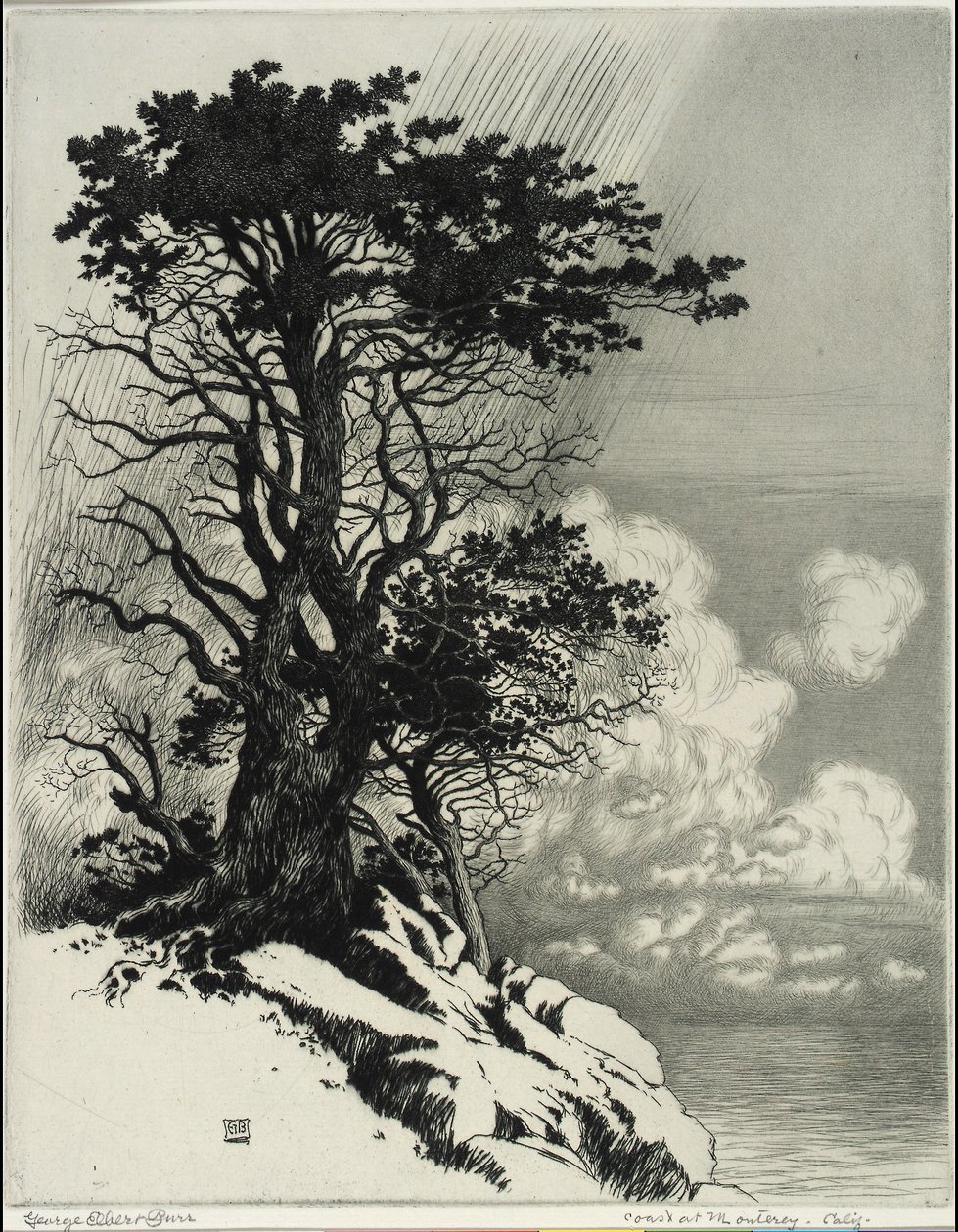 Côte à Monterey, Californie - George Elbert Burr