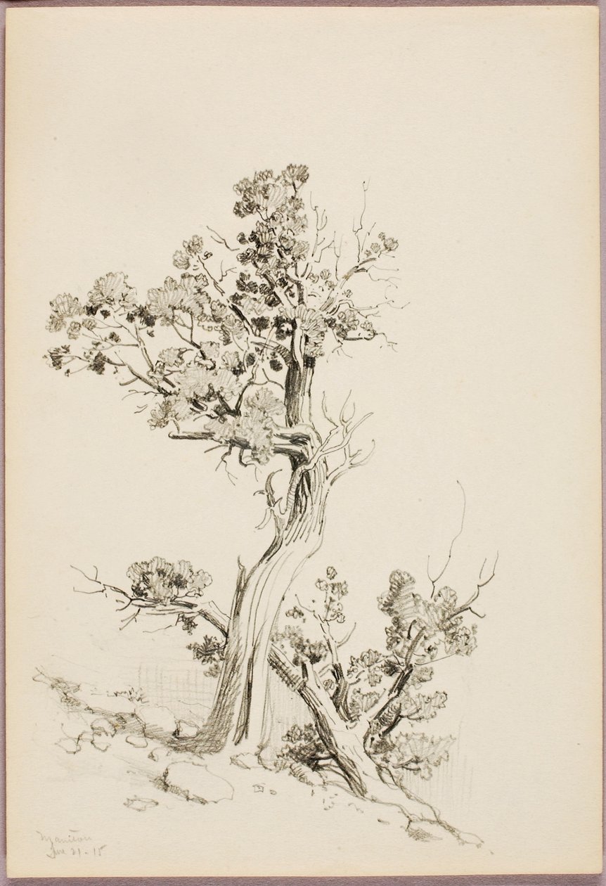 Manitou - George Elbert Burr
