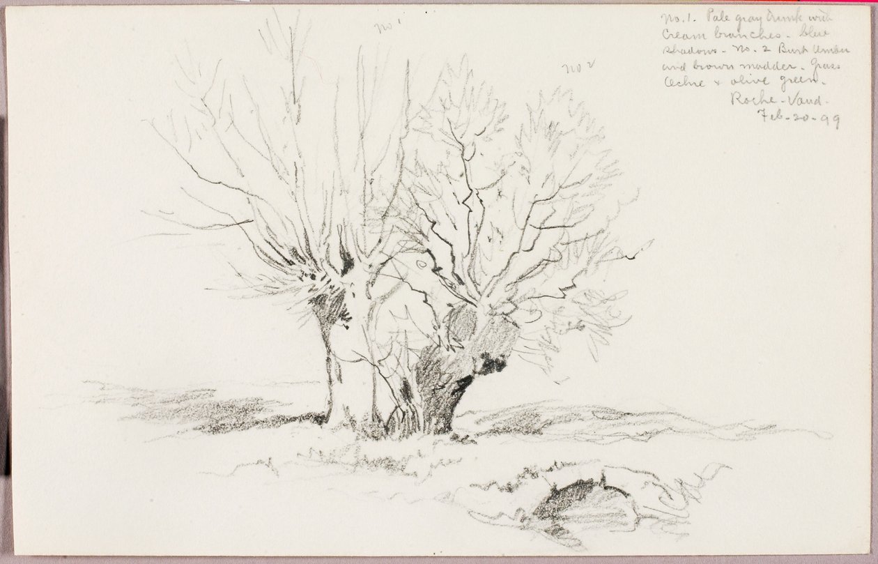 Roche Vaud - George Elbert Burr