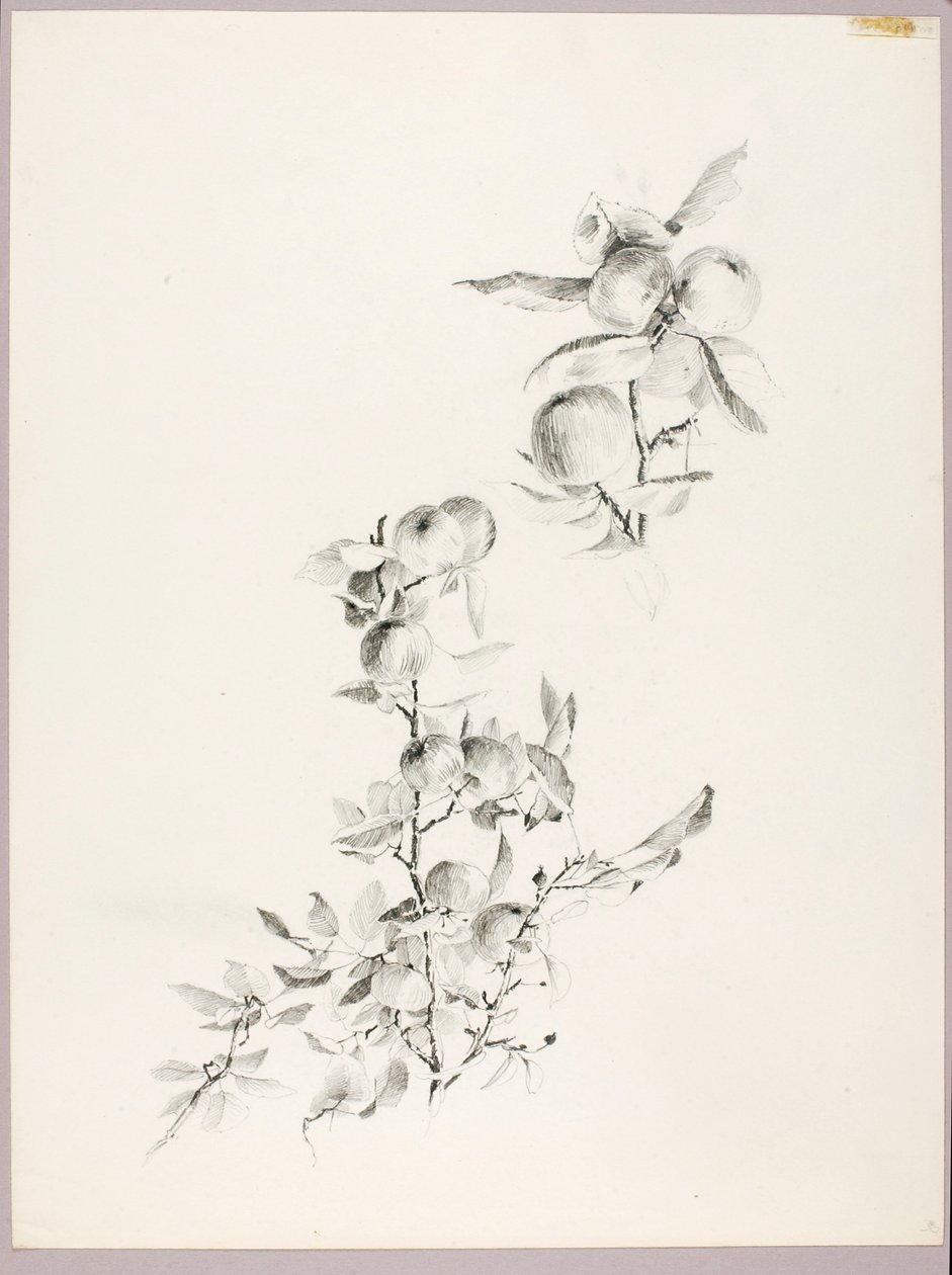 Sans titre (Branches de pommier) - George Elbert Burr