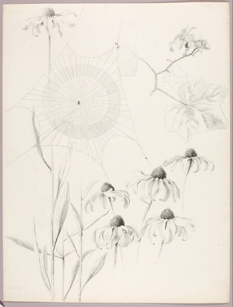 Sans titre (toile d
