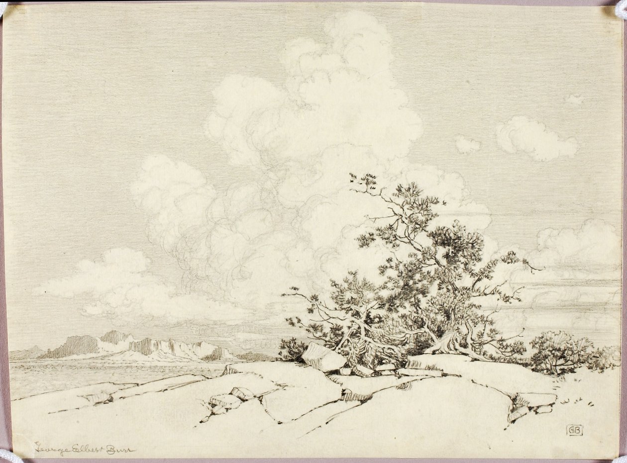 Sans titre - George Elbert Burr
