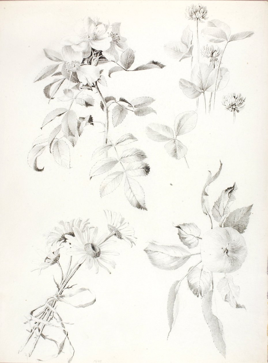 Sans titre - George Elbert Burr
