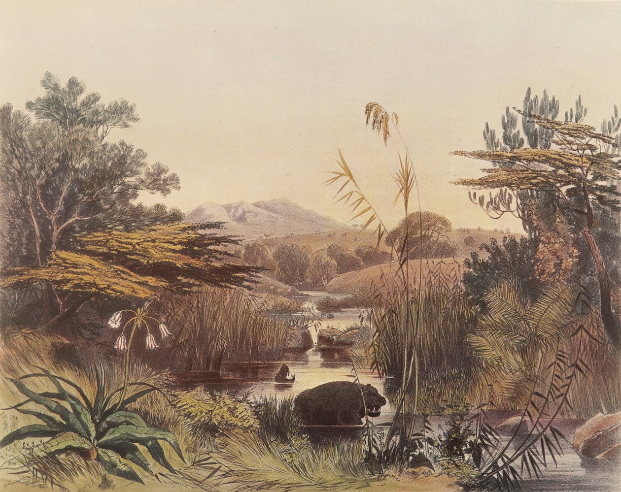 La rivière Umnonoti au crépuscule - George French Angas