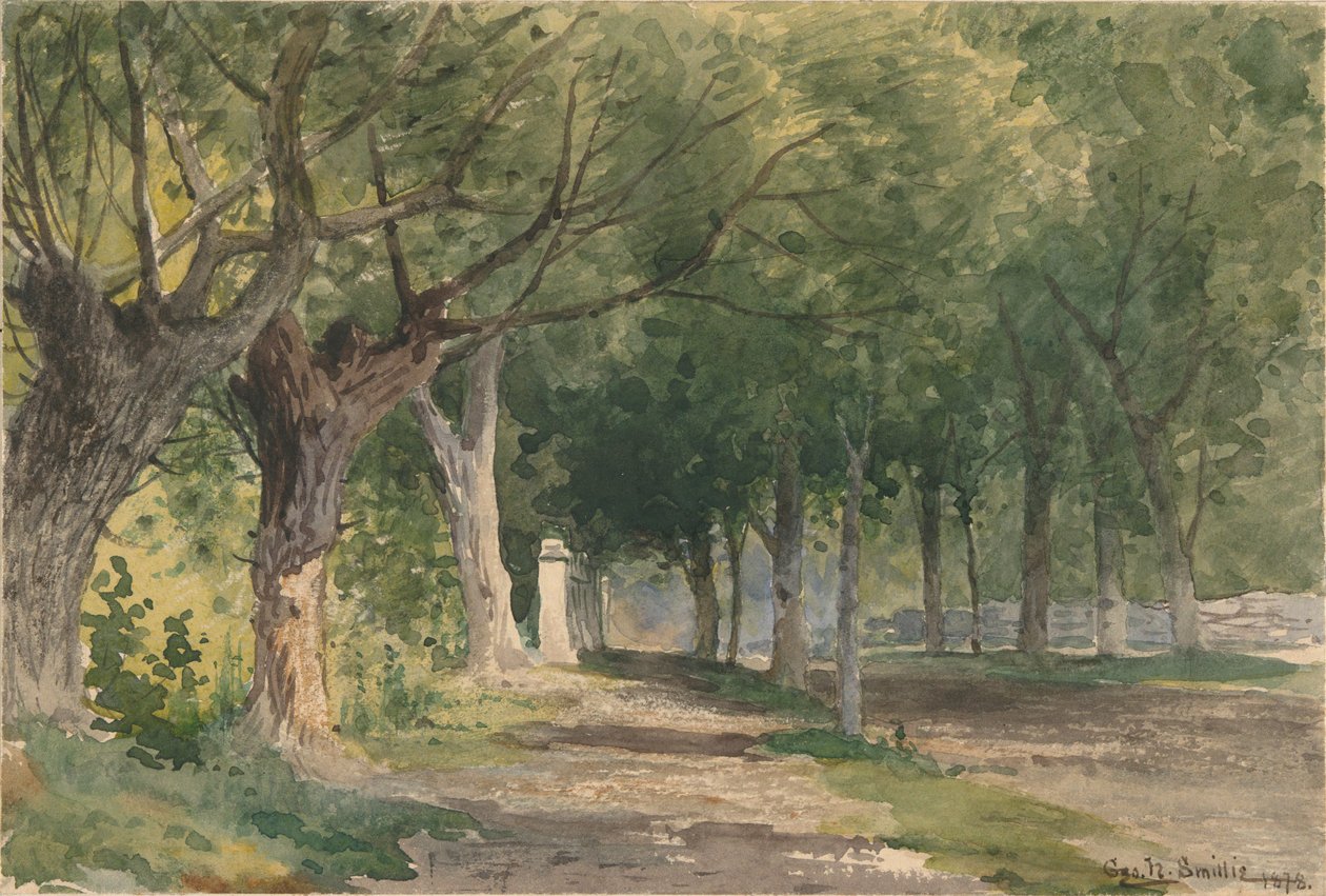 Allée d