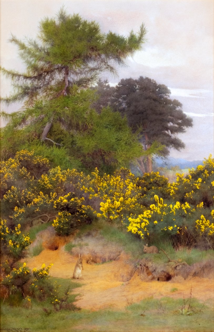 À la lisière de Shere Heath - George Marks