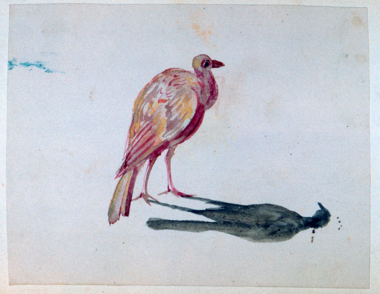 Oiseau, 1820-1876 - George Sand
