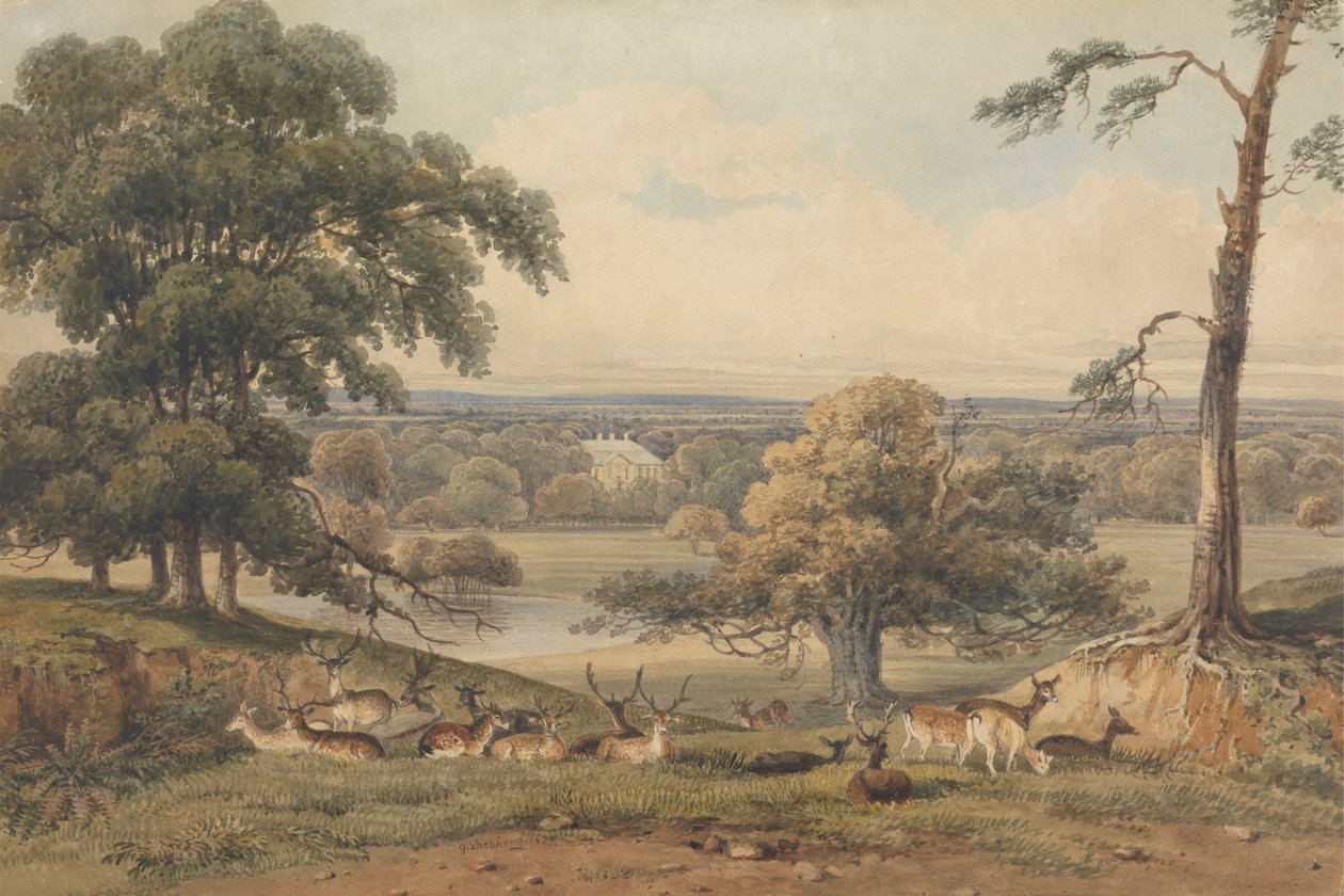 Vue lointaine du parc d