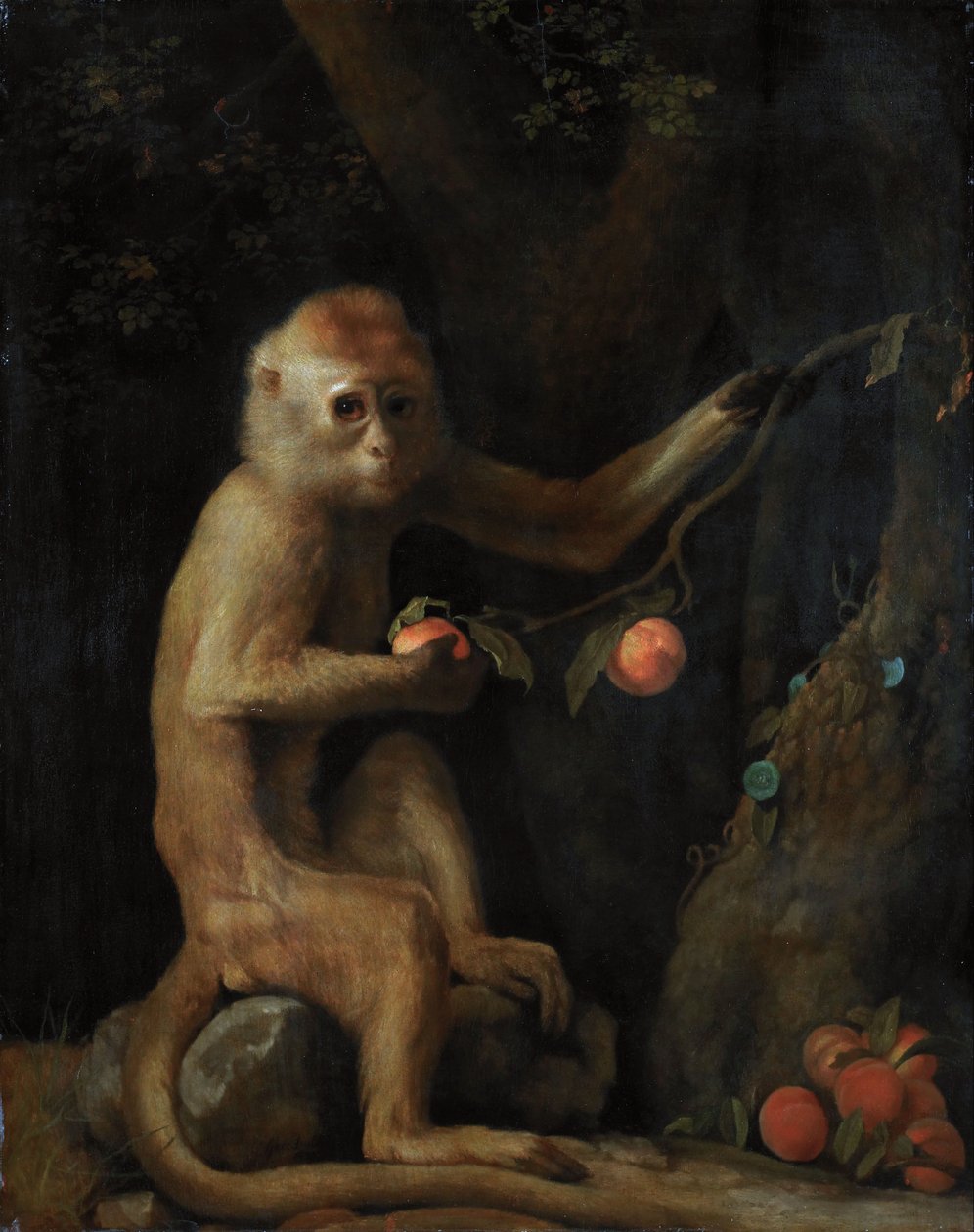 Un singe - George Stubbs