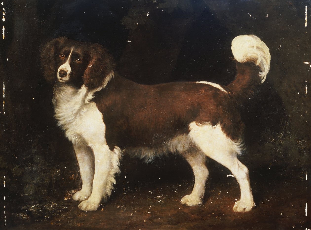 Un épagneul dans un paysage, 1784 - George Stubbs