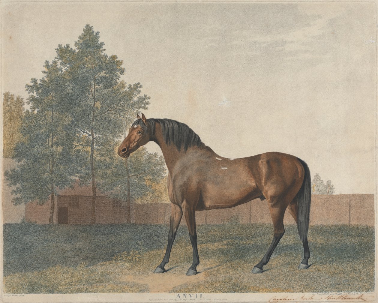 "Enclume" - George Stubbs