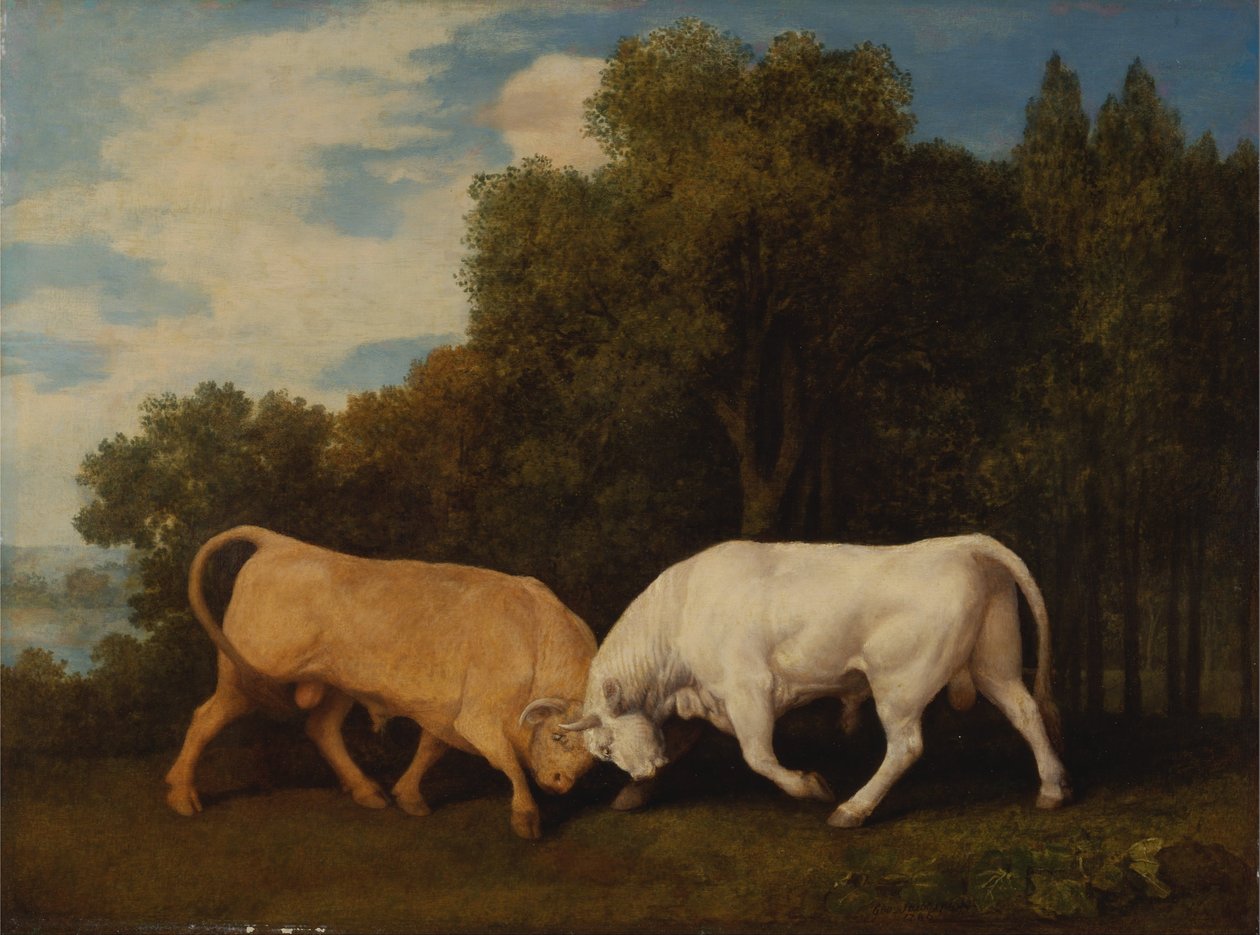 Combat de taureaux - George Stubbs