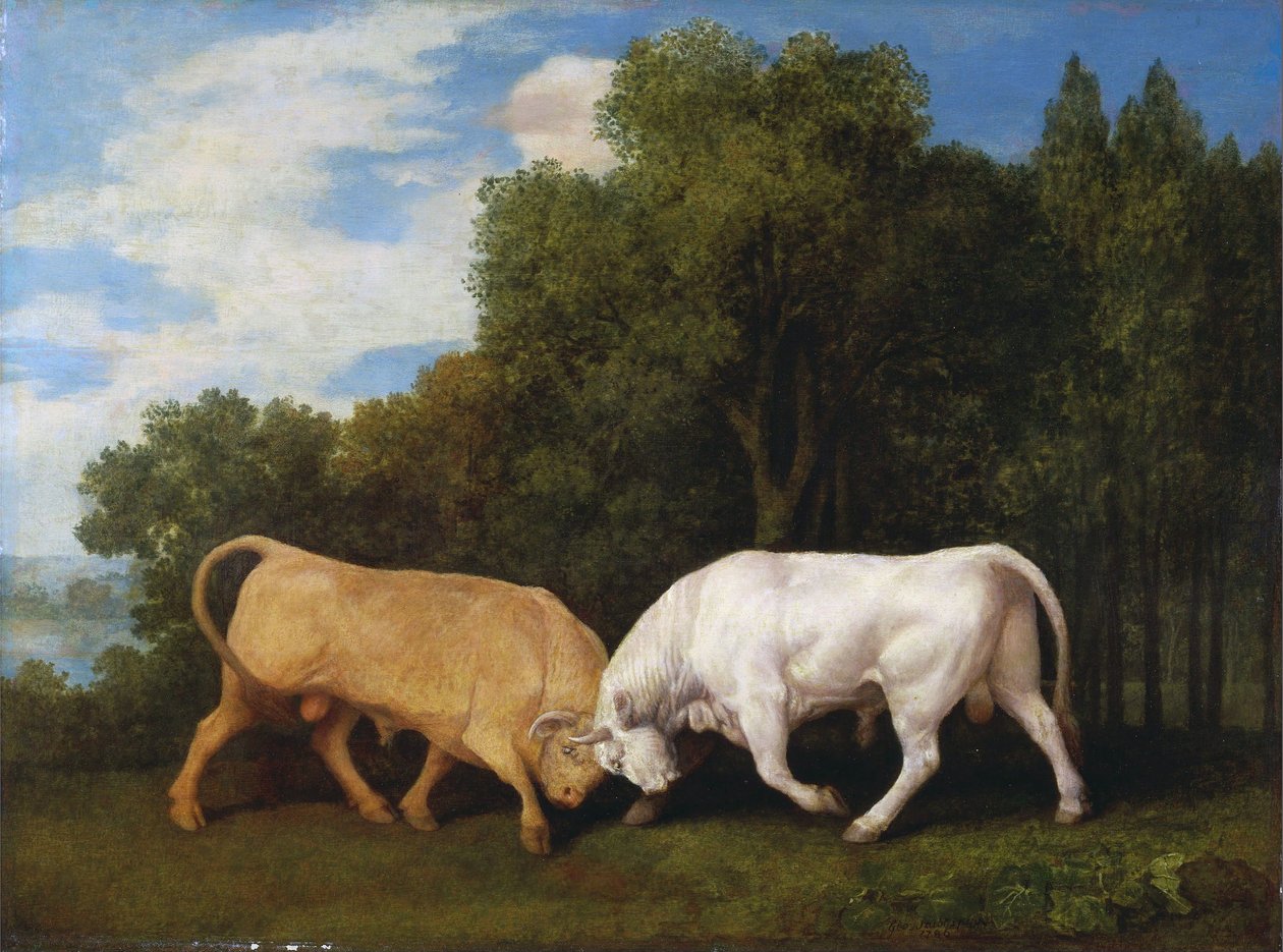 Combat de taureaux - George Stubbs