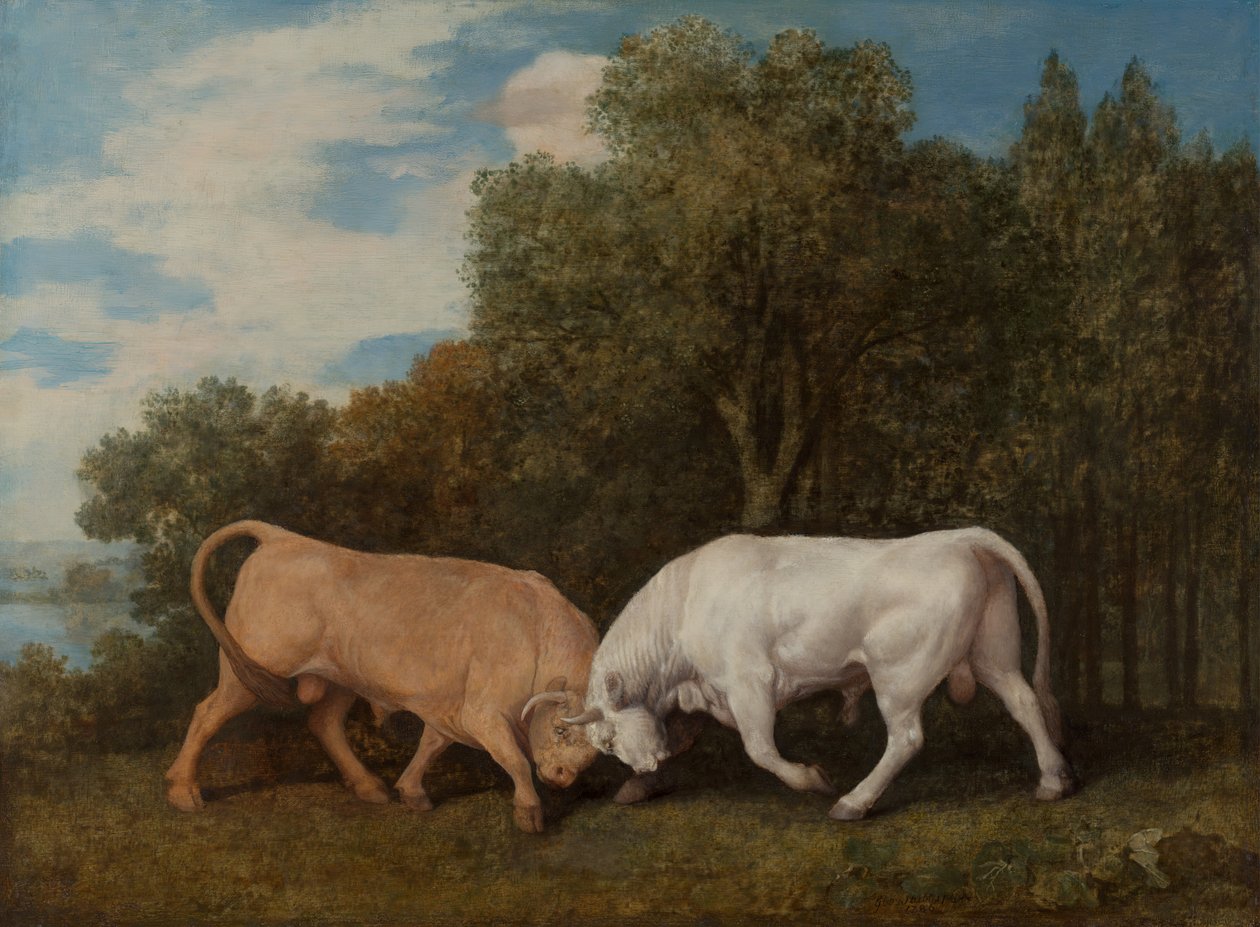 Combat de Taureaux - George Stubbs